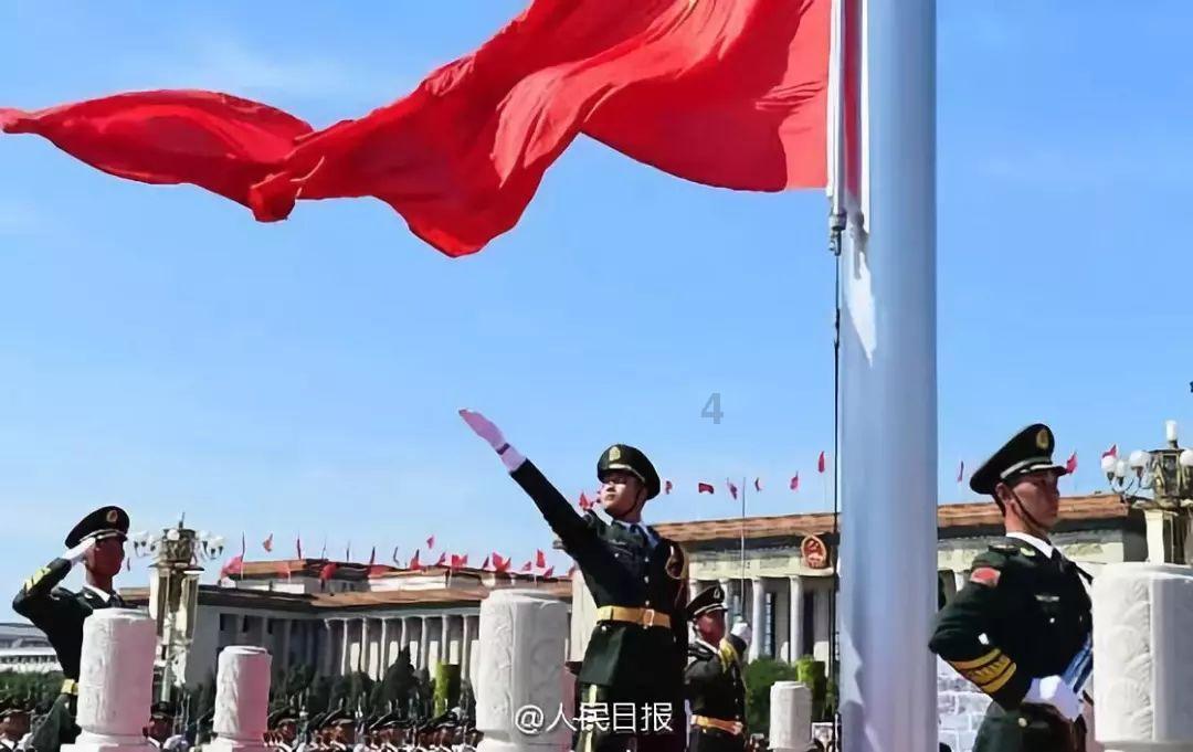 动物帮帮忙保卫家园
