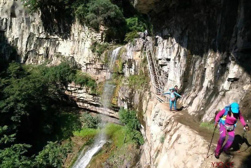 虫虫助手下载